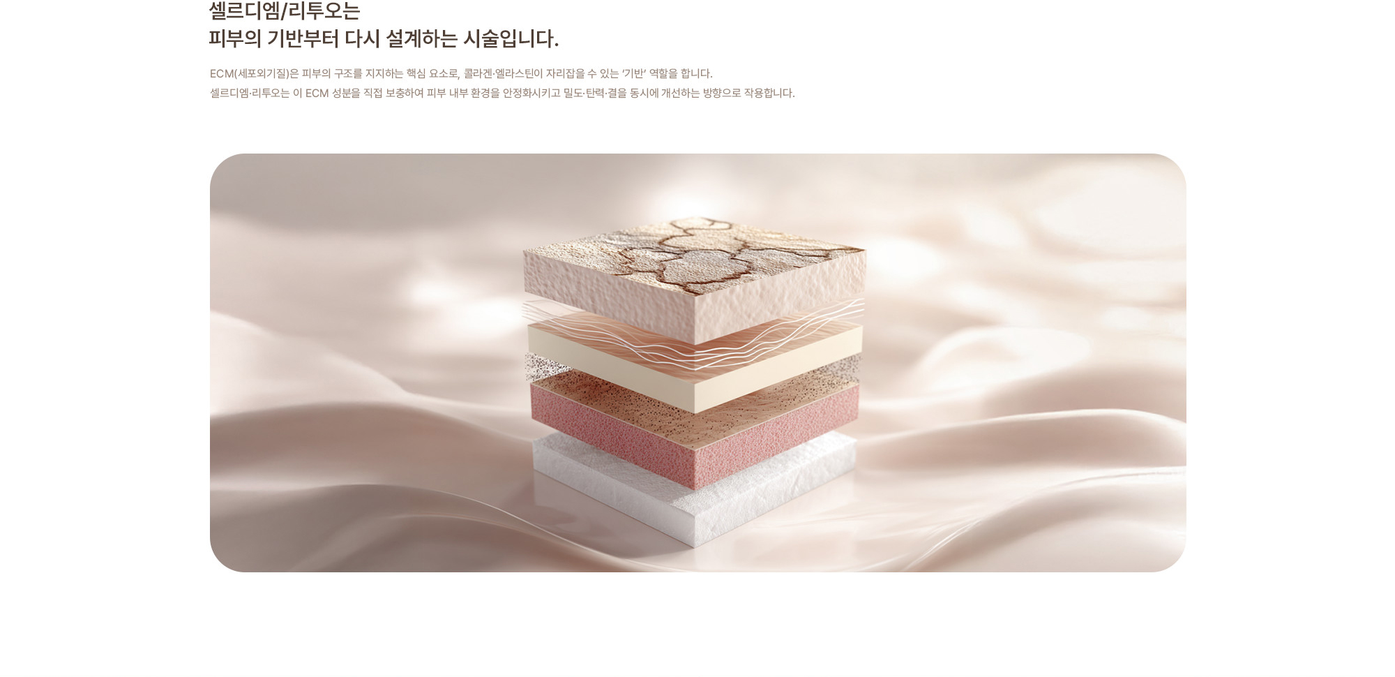 [셀르디엠/리투오는 피부의 기반부터 다시 설계하는 시술입니다.] ECM(세포외기질)은 피부의 구조를 지지하는 핵심 요소로, 콜라겐·엘라스틴이 자리잡을 수 있는 ‘기반’ 역할을 합니다.
        셀르디엠·리투오는 이 ECM 성분을 직접 보충하여 피부 내부 환경을 안정화시키고 밀도·탄력·결을 동시에 개선하는 방향으로 작용합니다.